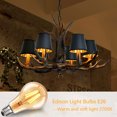 Roomrite LED Vintage Light Bulb, Edison Bulbs 4W (40W Equivalent) A19 Warm Light Bulbs 2400K 300LM E26 Base,Non-Dimmable,Amber Glass - 6 Pack